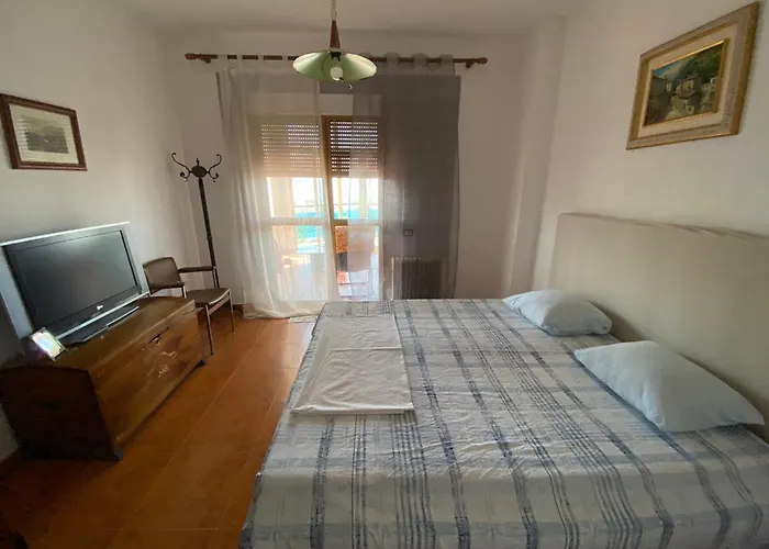 Zenit Days * فلورا